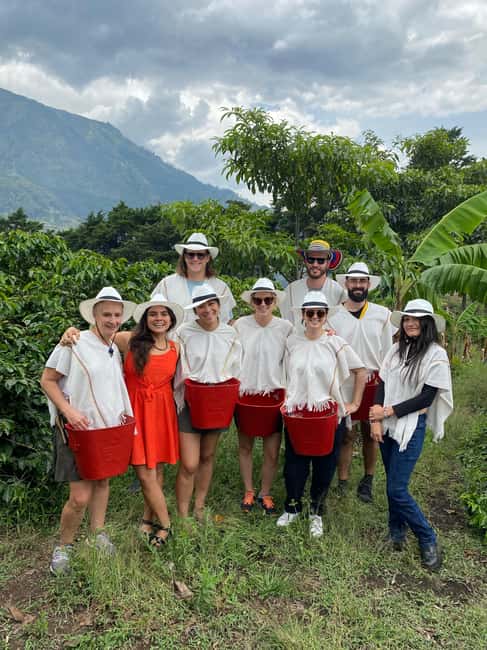 image n.11 of Medellín Coffee Farm Tour with Trolley and Cable Car Ride activity in Medellin, uploaded by supplier