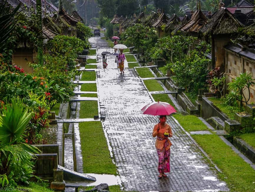 image n.14 of Bali: Besakih Great Temple & Penglipuran Village Day Tour activity in Bali, uploaded by supplier