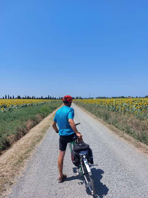 Immagine nº 17 di Lecce: tour in e-bike a Galatina con frantoio e degustazione di vino attività a Corigliano D'otranto, caricata dal fornitore