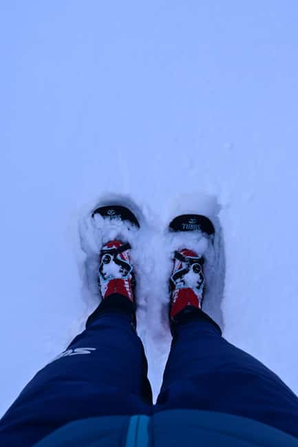 Immagine nº 3 di Saariselkä: Escursione con le racchette da neve nel Parco Nazionale Urho Kekkonen attività a Sodankylä, caricata dal fornitore