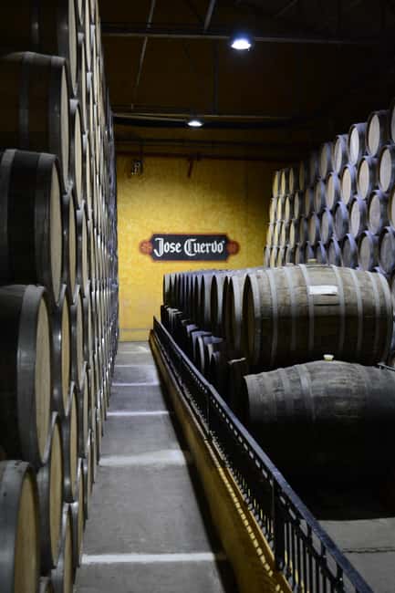 image n.14 of From Guadalajara: Town of Tequila & Jose Cuervo Factory Tour activity in Tequila, uploaded by supplier