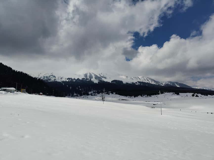 image n.6 of Srinagar: Gulmarg Day Tour - Explore the Meadow of Flowers activity in Jammu and Kashmir, uploaded by supplier