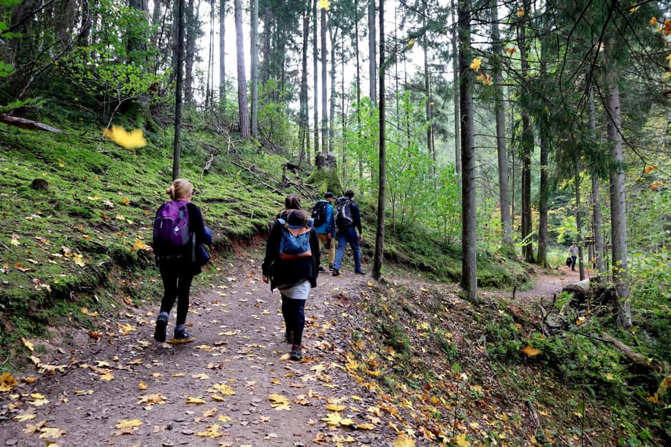 Image N°4 de Randonnée dans le parc national de la Gauja - Sigulda activité à Sigulda, publiée par le prestataire