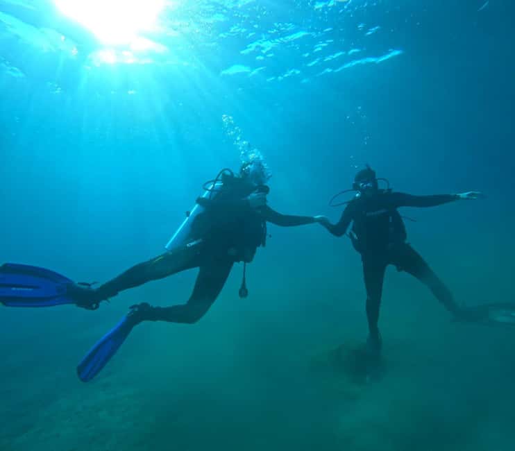 image n.8 of Sithonia: Scuba Diving Experience for Beginners activity in Nikiti, uploaded by supplier