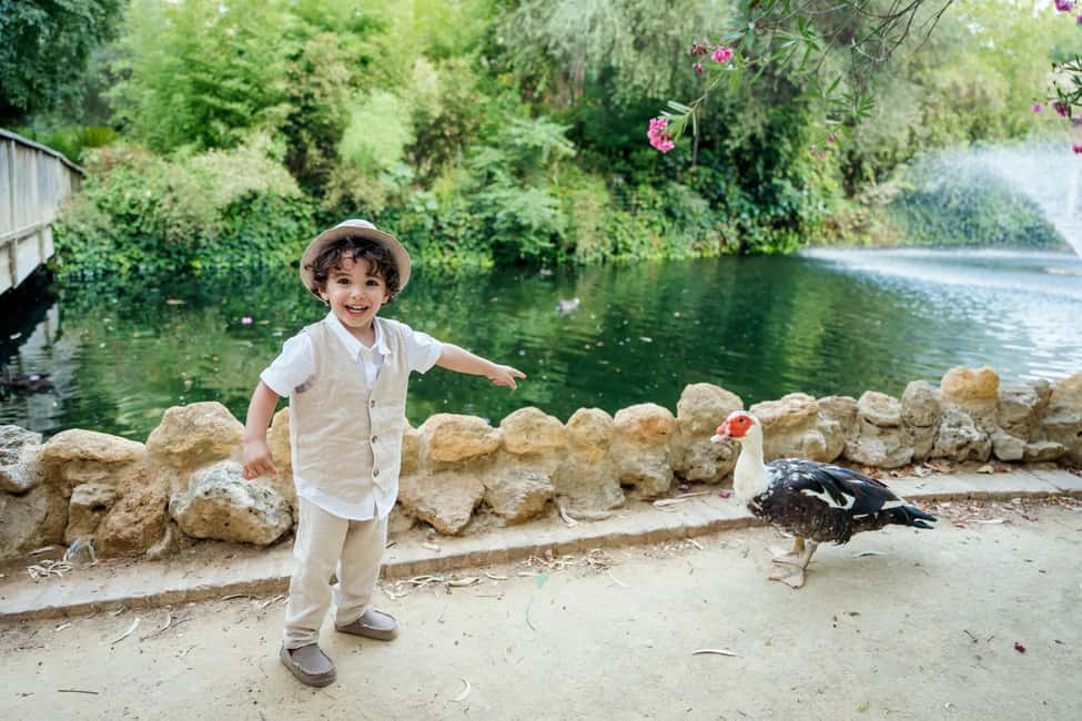 image n.12 of Seville: Professional Photoshoot activity in Seville, uploaded by supplier