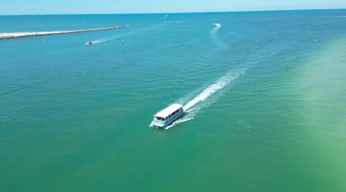 bild nr.4 av Clearwater Beach: Kryssning med delfiner och sandbankar på öar aktivitet i Clearwater, uppladdad av arrangören