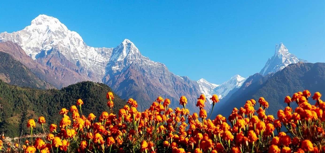 image n.4 of Pokhara: 4-Day Ghorepani, Poonhill & Ghandruk Mountain Trek activity in Ghandruk, uploaded by supplier
