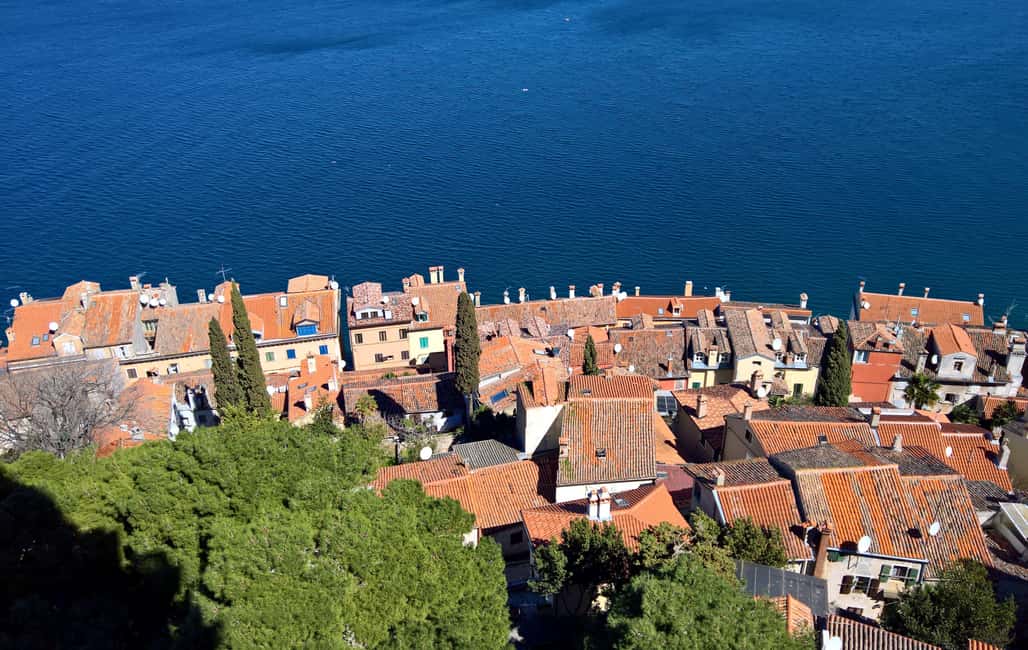 image n.26 of Rovinj: Guided Walking Tour activity in Rovinj, uploaded by supplier