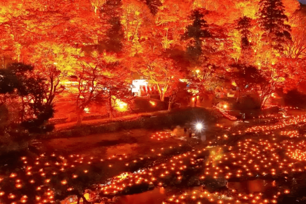 image n.8 of From Nagoya: Obara Shiki-Zakura and Korankei Autumn Trip activity in Nagoya, uploaded by supplier