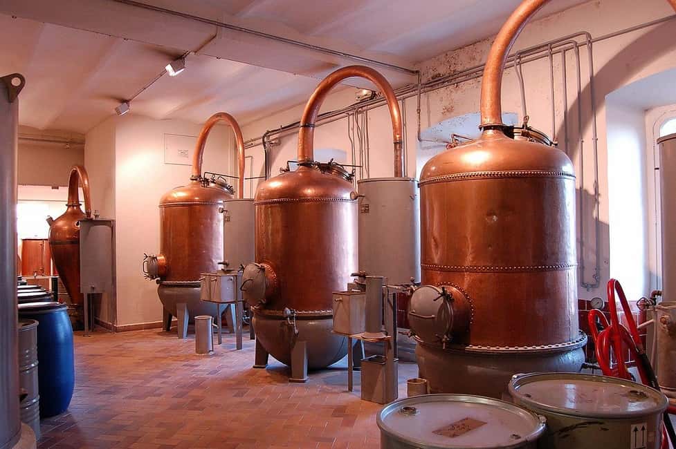 image n.4 of Wine Tasting, Cannes, Famous Designers and Perfume Factory activity in Grasse, uploaded by supplier