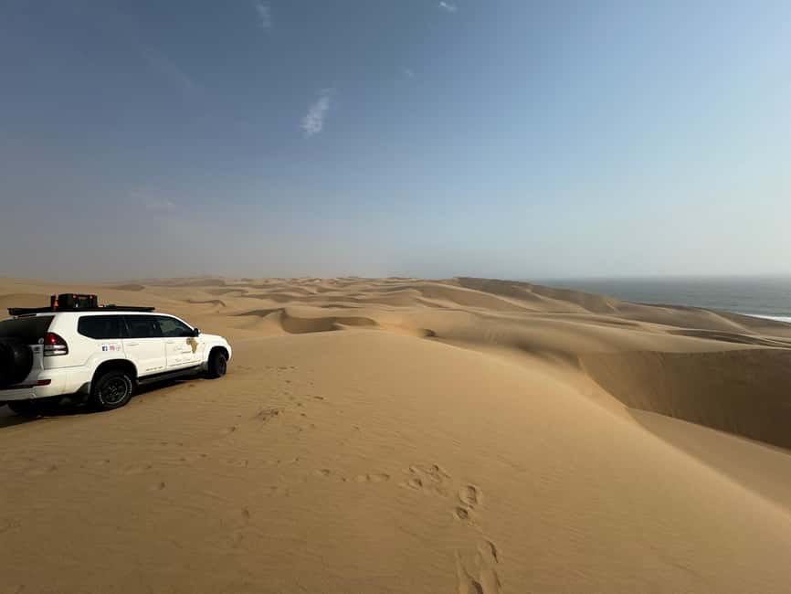 image n.29 of Walvisbay: Sandwich Harbour 4x4 Tour-Unparalleled Experience activity in Erongo, uploaded by supplier