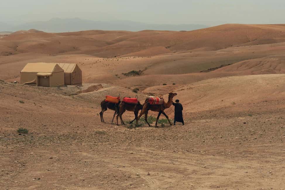 image n.4 of Marrakech/Ouarzazate: 2-Day Desert with Camel, 4x4 & Meals activity in Ait Benhaddou, uploaded by supplier