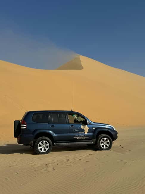 image n.92 of Walvisbay: Sandwich Harbour 4x4 Tour-Unparalleled Experience activity in Erongo, uploaded by supplier
