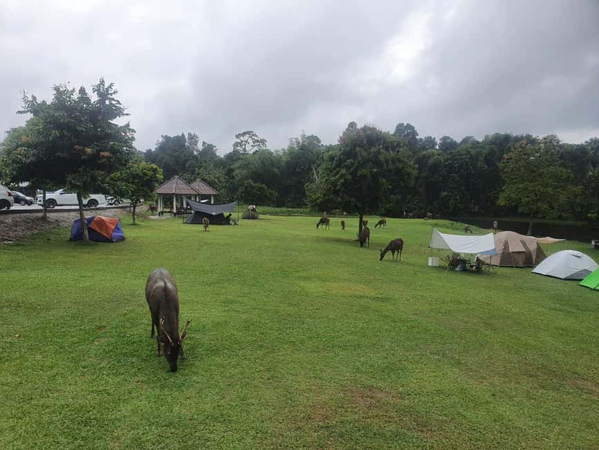 imagen n.º 16 de Desde Bangkok: Excursión de un día en grupo reducido al Parque Nacional de Khao Yai actividad en Provincia de Nakhon Nayok, subida por el proveedor