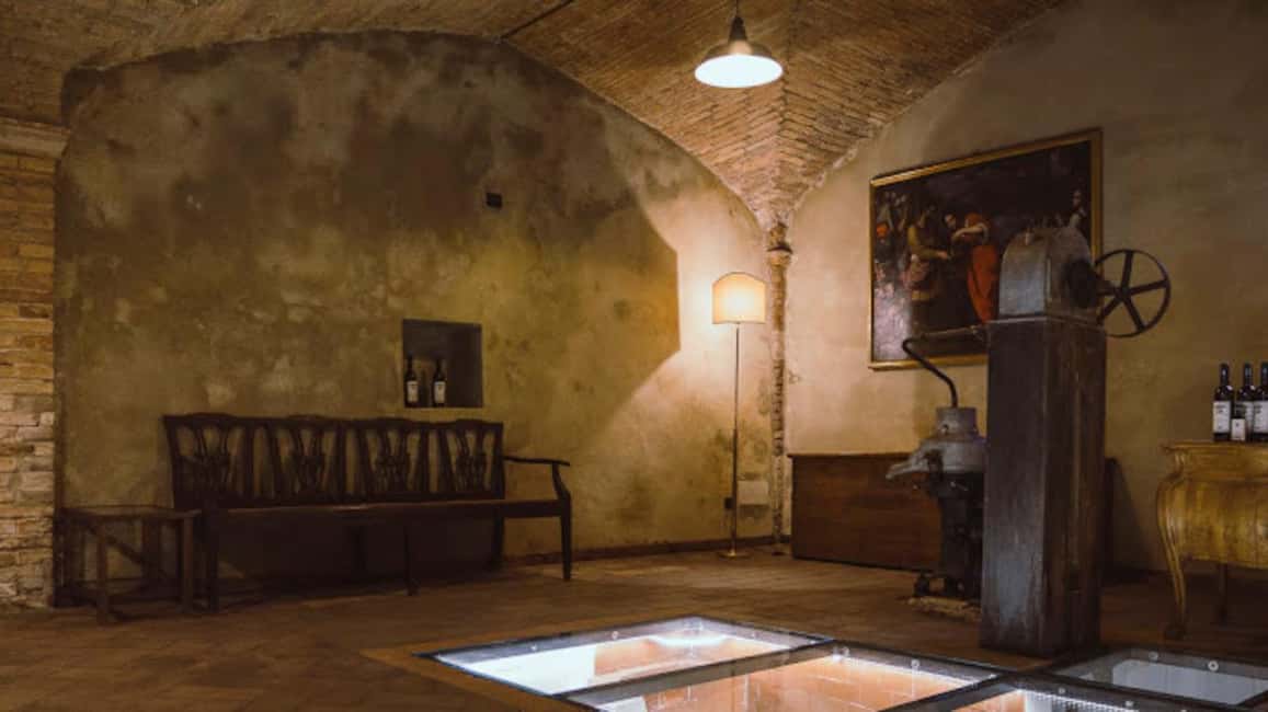 Bild Nr. 15 von Bio-Wein- und Lebensmittelverkostung in der historischen Fattoria Majnoni Aktivität in San Gimignano, hochgeladen vom Anbieter