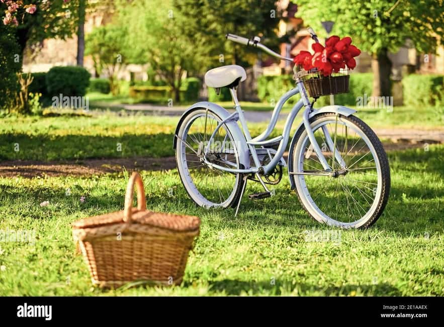 imagem n.5 de Piquenique no meio dos olivais em bicicleta eléctrica atividade em Saint-Rémy-de-Provence, carregada pelo fornecedor