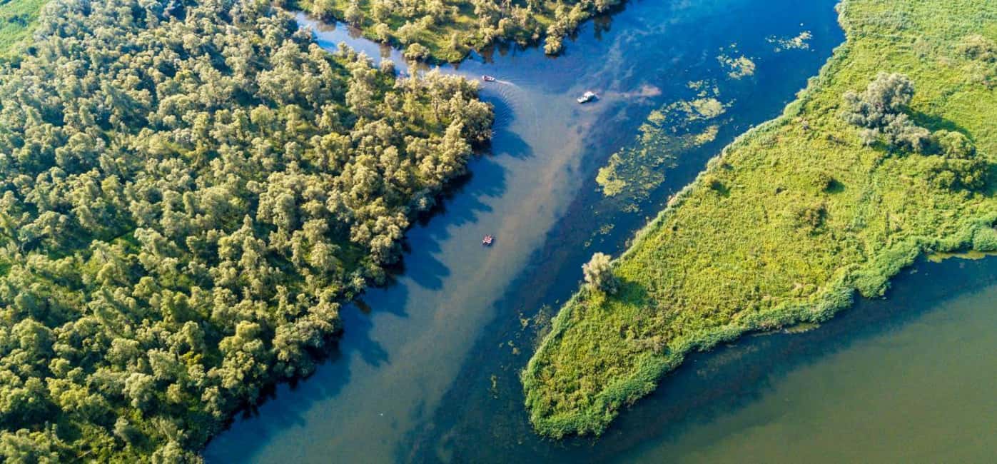 imagen n.º 9 de Biesbosch: Crucero en barco por el Parque Nacional actividad en Drimmelen, subida por el proveedor