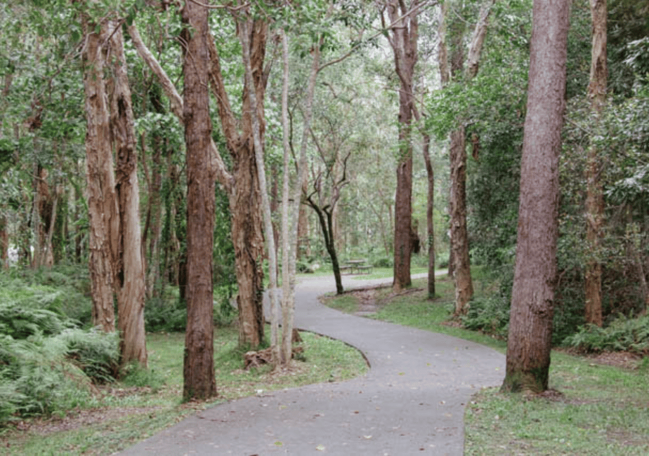 image n.6 of Noosa: E-Bike Tour from Mt Tinbeerwah to Noosa activity in Sunshine Coast, uploaded by supplier
