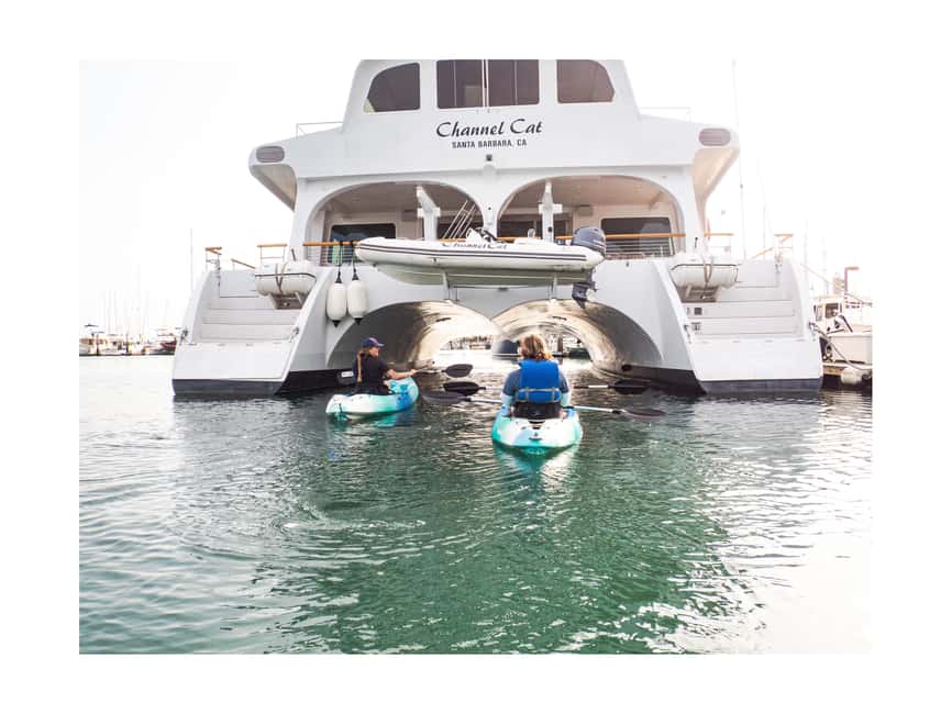 image n.9 of Santa Barbara: 1.5-Hour Harbor Kayak Tour activity in Santa Barbara, uploaded by supplier