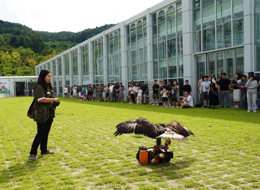 imagen n.º 15 de Seúl: Excursión de un día a la Isla de Nami y al Parque de las Aves de Begonia y Railbike actividad en Provincia de Gyeonggi, subida por el proveedor