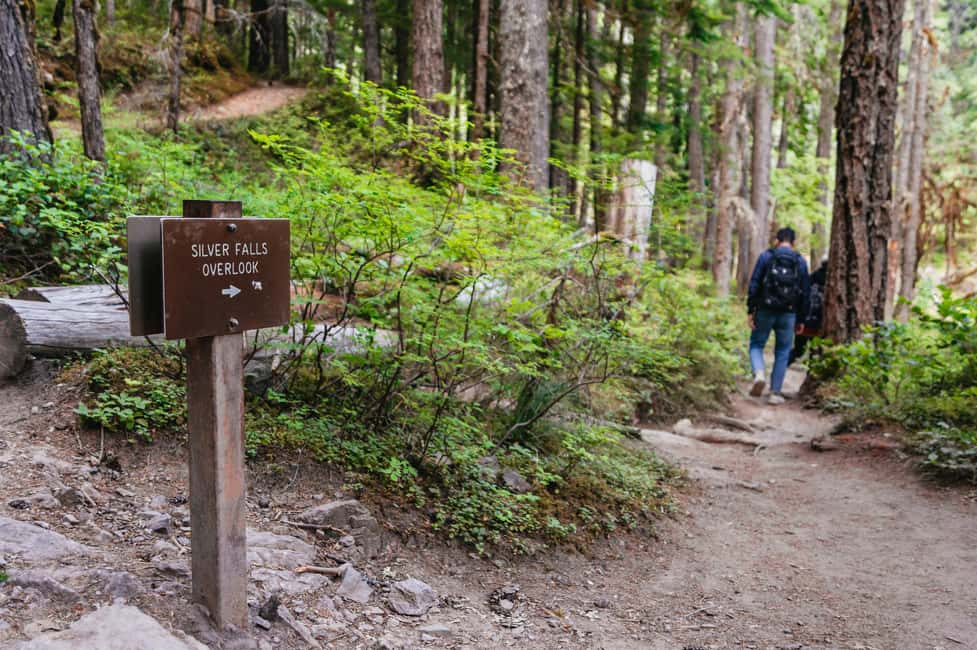 image n.12 of From Seattle: Mount Rainier National Park Guided Tour activity in Washington (State), uploaded by supplier
