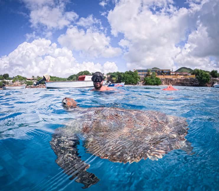 afbeelding n.7 van Curaçao: Playa Piskado Seabob Avontuur (Zeeschildpadden) activiteit in Curaçao, geüpload door aanbieder
