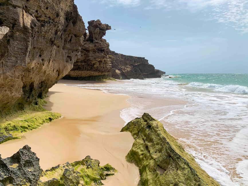 image n.9 of Sal Rei: Boa Vista Island Full-Day North to South Discovery activity in Boa Vista Island, uploaded by supplier