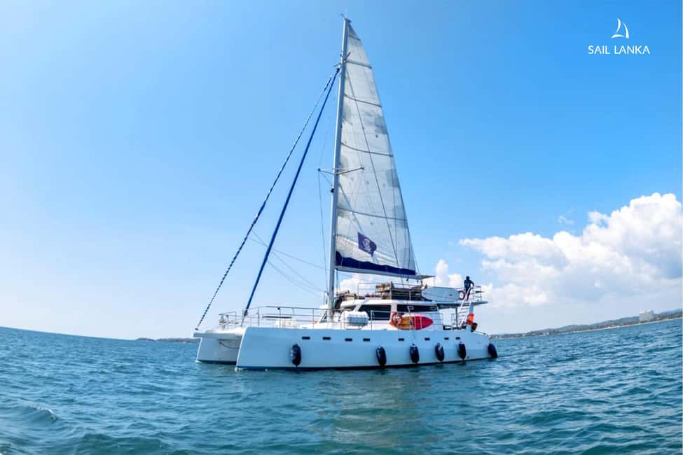 image n.2 of Sail Lanka Charter - Whale Watching Cruise In Trincomalee activity in Colombo, uploaded by supplier