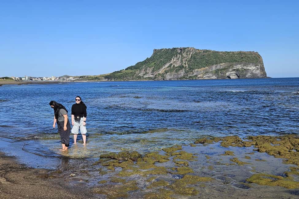 image n.9 of Jeju Island: Full-Day East Jeju Bus Tour with Entry Fees activity in Jeju Province, uploaded by supplier