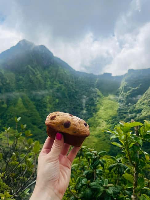 image n.10 of Hike St. Kitts: Highest peak Mount Liamuiga Volcano activity in Nevis, uploaded by supplier