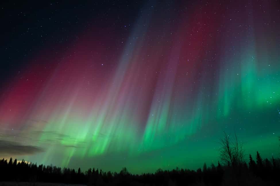 bild nr.22 av Rovaniemi: Norrskenstur med garanterade observationer aktivitet i Rovaniemi, uppladdad av arrangören