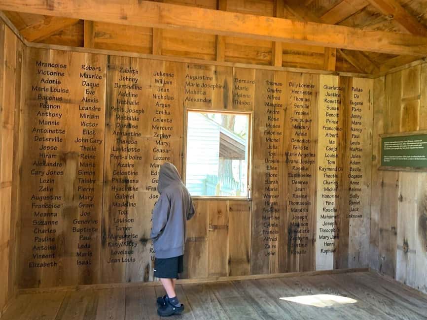 Immagine nº 13 di New Orleans: Tour di mezza giornata della piantagione di Oak Alley attività a Vacherie, Louisiana, caricata dal fornitore