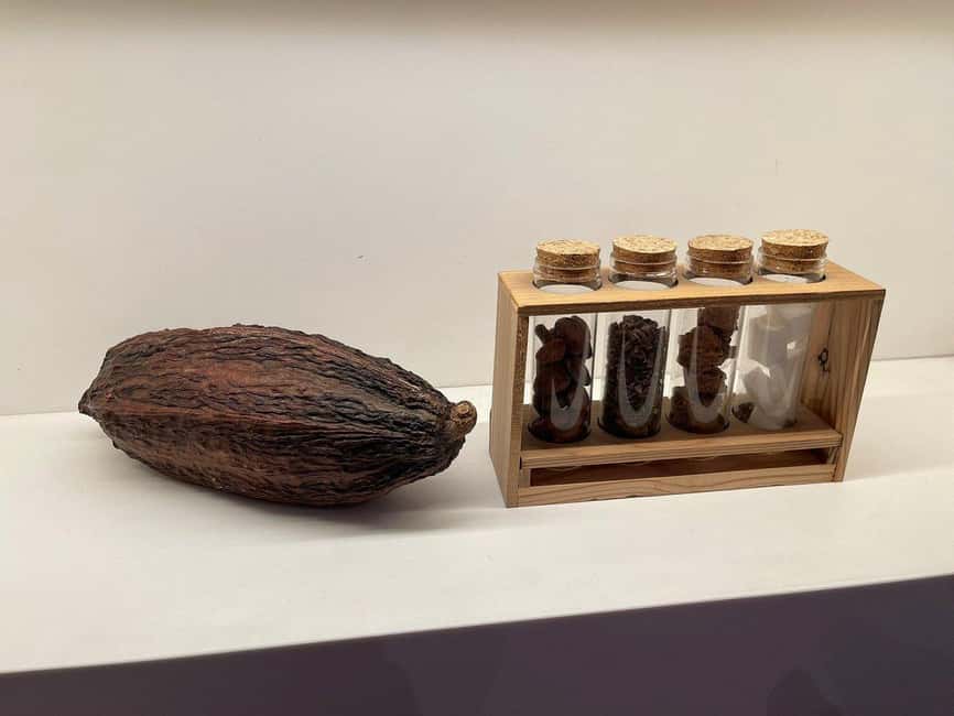imagen n.º 4 de Bruselas: Tour a pie para apreciar y degustar el chocolate actividad en Bruselas, subida por el proveedor