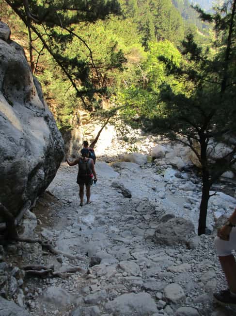 Immagine nº 43 di Da Rethymno: trekking di un giorno intero alle gole di Samaria, prelievo e guida attività a Rethymno, caricata dal fornitore