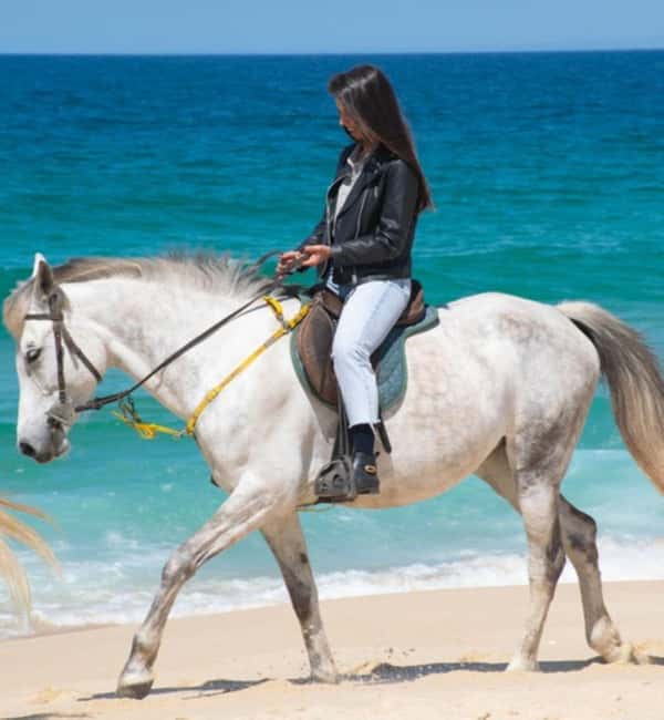 imagem n.4 de Melides: Passeios a cavalo na praia de Melides atividade em Melides, carregada pelo fornecedor