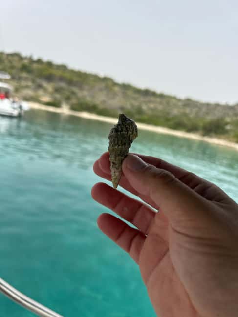 image n.36 of From Split/Trogir: Blue Lagoon & 2 Islands half-day Private activity in Dalmatia, uploaded by supplier