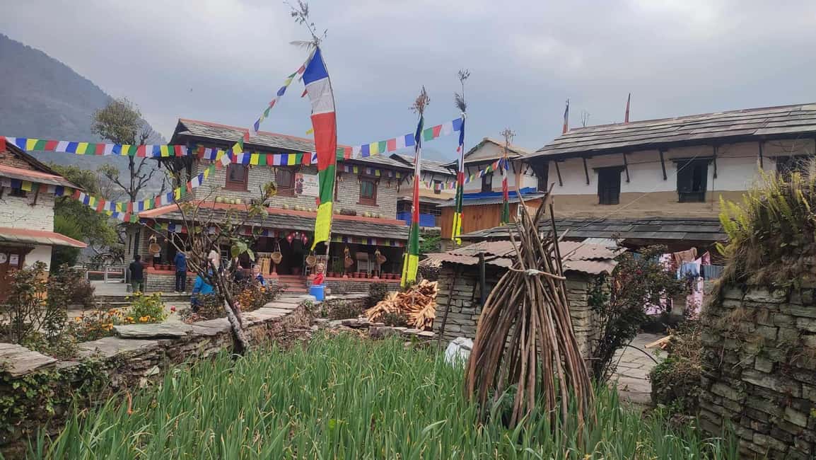 image n.17 of Ghorepani Poon Hill Trek - 4 Days (Full Package) activity in Pashchimanchal, Western Region, uploaded by supplier