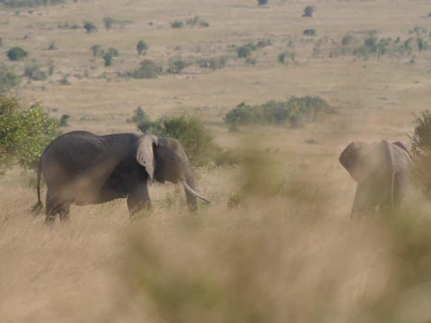 image n.8 of 5 Days Amboseli / Tsavo West & Tsavo East Safari activity in Coast Province, uploaded by supplier