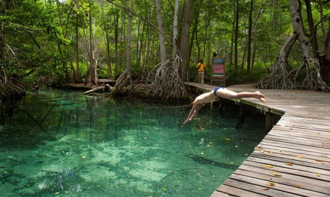image n.5 of Merida: Celestun Boat Ride Mangrove Experience! Beach Time activity in Celestún, uploaded by supplier