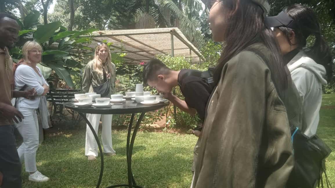 image n.68 of Coffee Farm Tour (Fairview) activity in Kiambu, uploaded by supplier