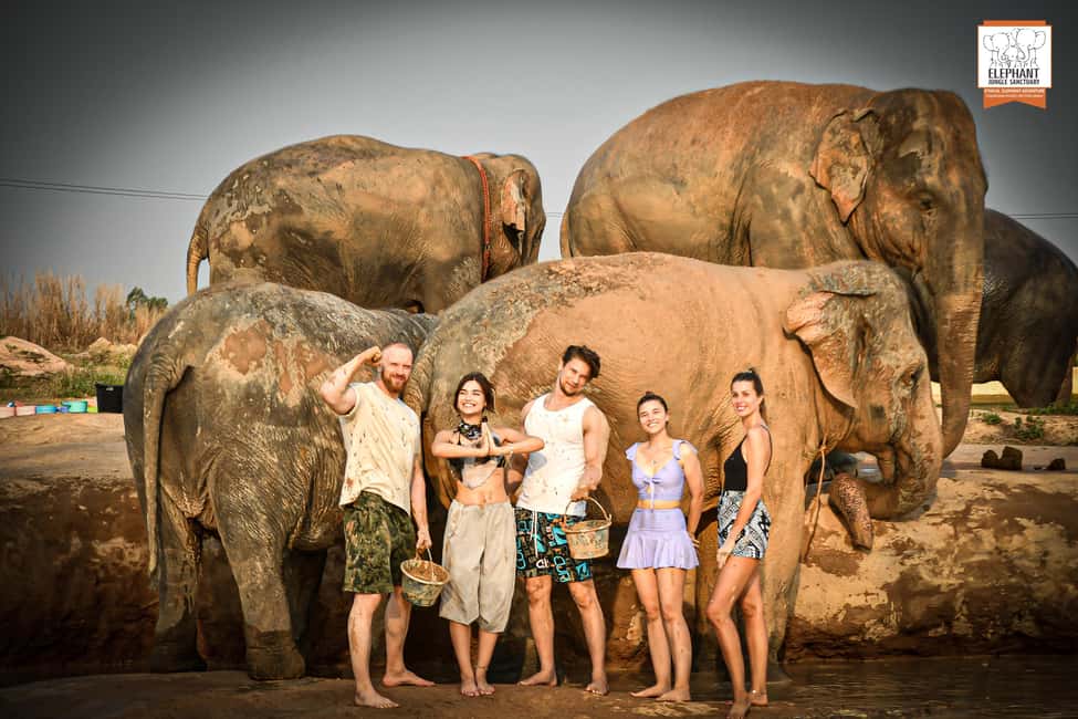 image n.7 of Pattaya: Elephant Jungle Sanctuary Half-Day Tour with Meal activity in Pattaya, uploaded by supplier