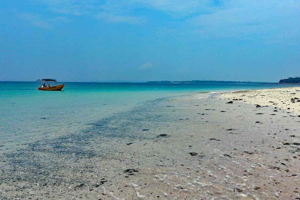 image n.18 of From Panama City: Beach Day Pass in Las Perlas Island Resort activity in Panama Province, uploaded by supplier
