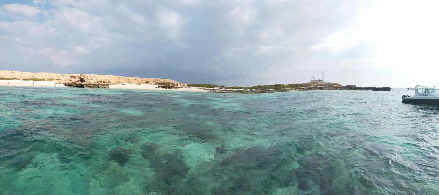 Immagine nº 6 di Tour pomeridiano di snorkeling delle isole Dimaniyat attività a Mascate, caricata dal fornitore