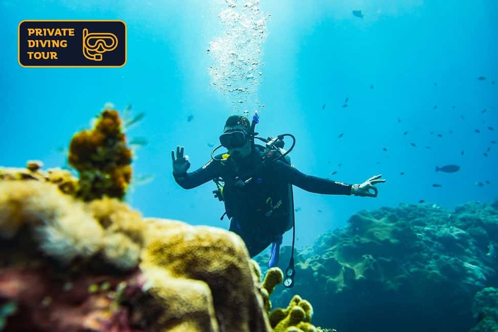 imagem n.67 de Bali: Nusa Penida Speedboat Trip com Snorkeling e Tour atividade em Bali, carregada pelo fornecedor