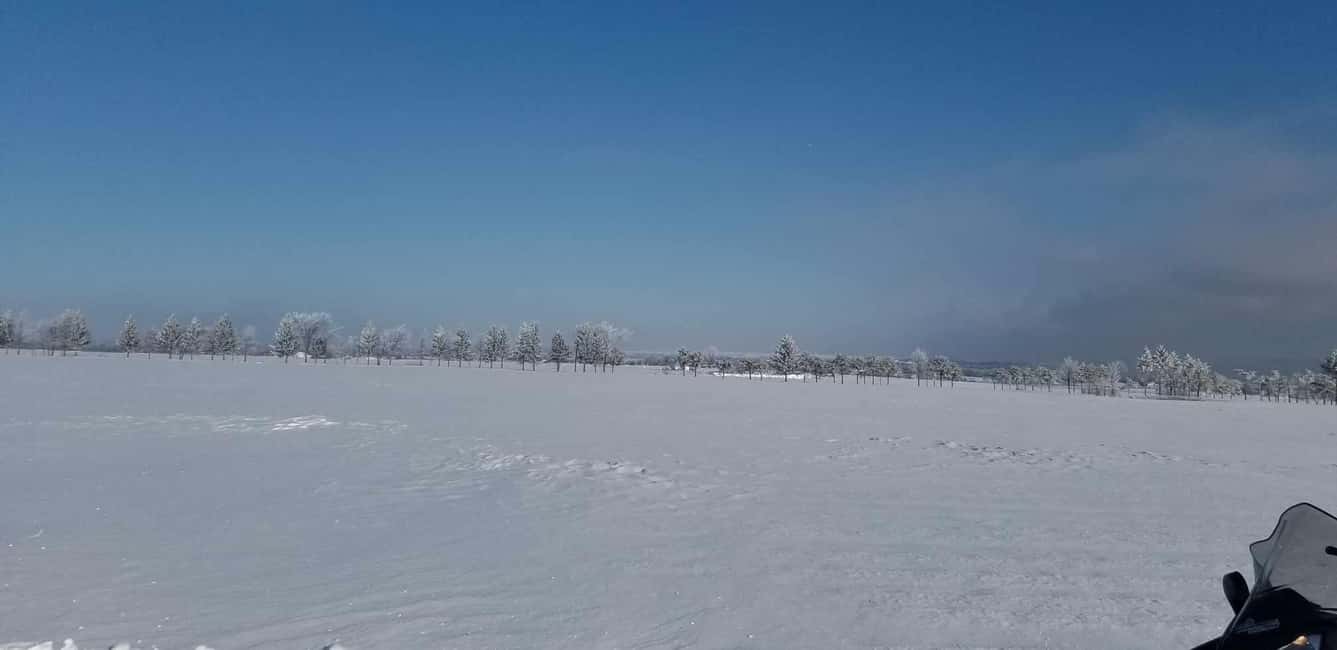 image n.18 of Quebec City: Guided Snowmobile Tour activity in Saint-Jean-de-l'Île-d'Orléans, uploaded by supplier