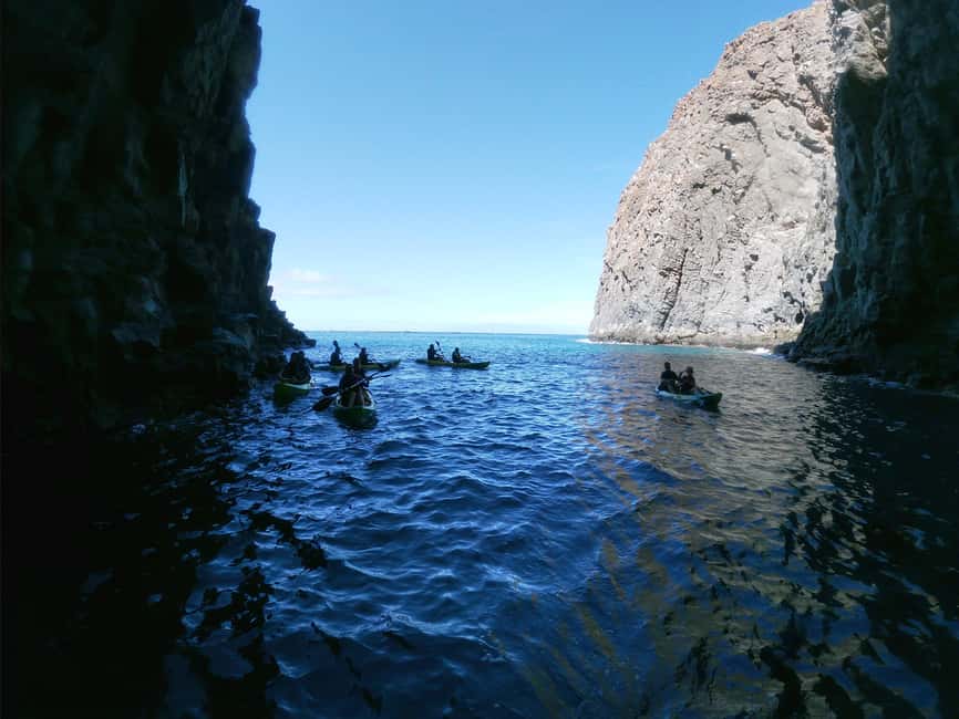 image n.54 of Tenerife: Kayak & Snorkel with Turtles & Dolphins w/Photos activity in Los Cristianos, uploaded by supplier