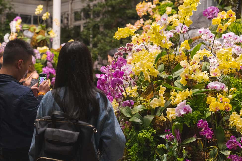 image n.25 of NYC: New York Botanical Garden Pass activity in New York City, uploaded by supplier