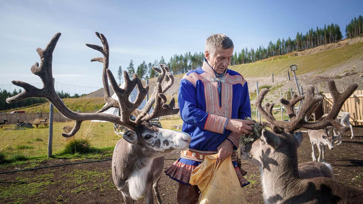 image n.2 of Alta: Reindeer - A carrier of Sámi Culture activity in Alta, uploaded by supplier