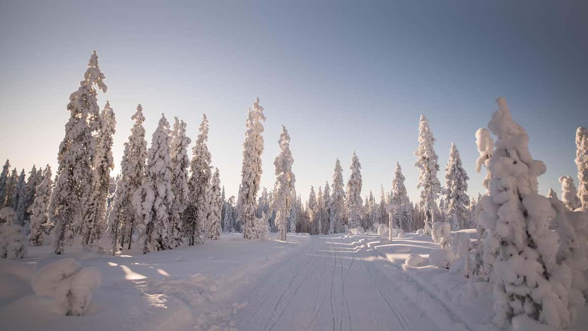 billede nr.3 af aktiviteten Levi: 4 timers snescootersafari til fjeldene i Levi i Sirkka, uploadet af udbyder