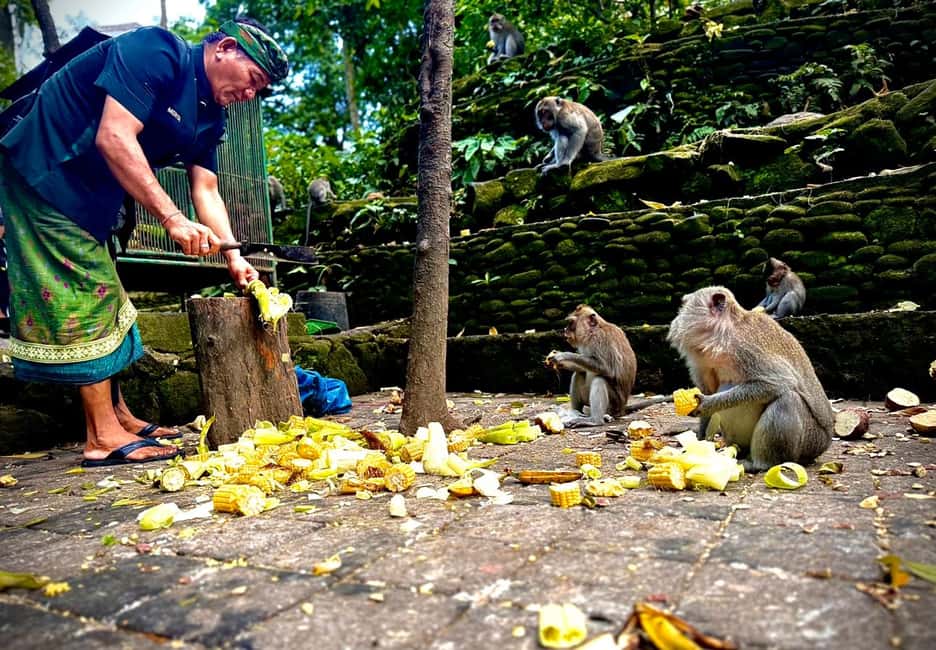 image n.8 of Ubud: Sacred Monkey Forest Sanctuary Ticket and Guided Tour activity in Ubud, uploaded by supplier